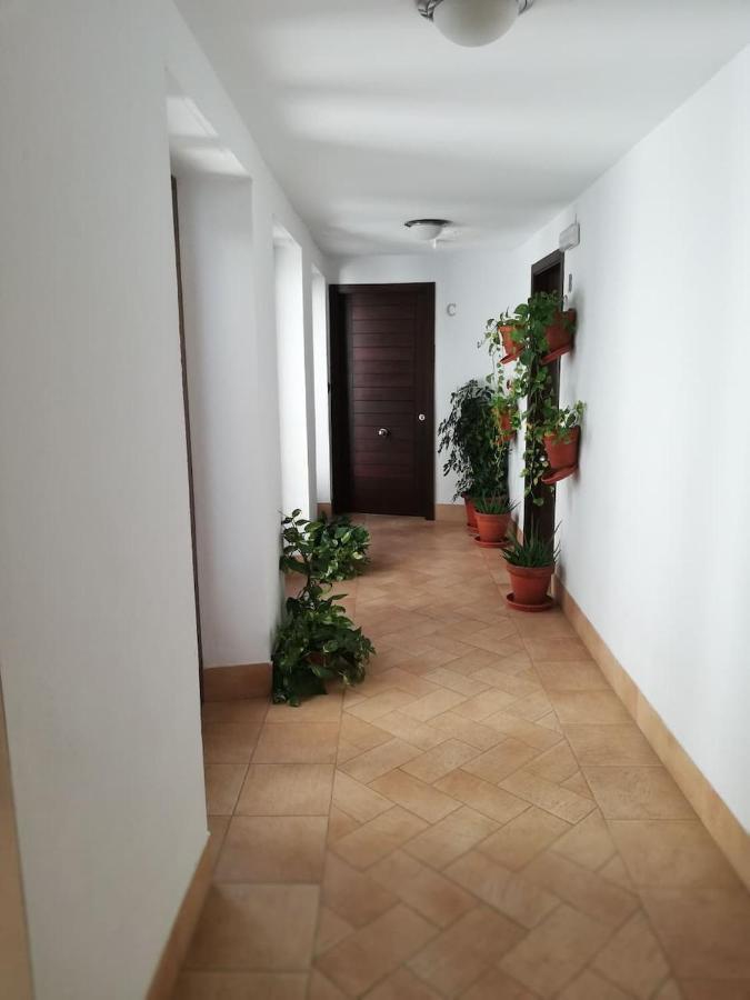 Estudio San Pedro-Corredera Κόρδοβα Εξωτερικό φωτογραφία